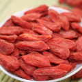 Proveedores de bayas de Goji chinas secas orgánicas certificadas bayas de goji a granel Matrimonio al por mayor